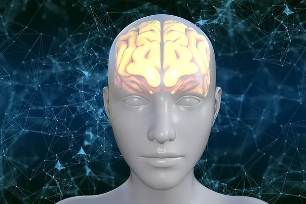 Túlélőközpontot fedeztek fel az emberi agyban